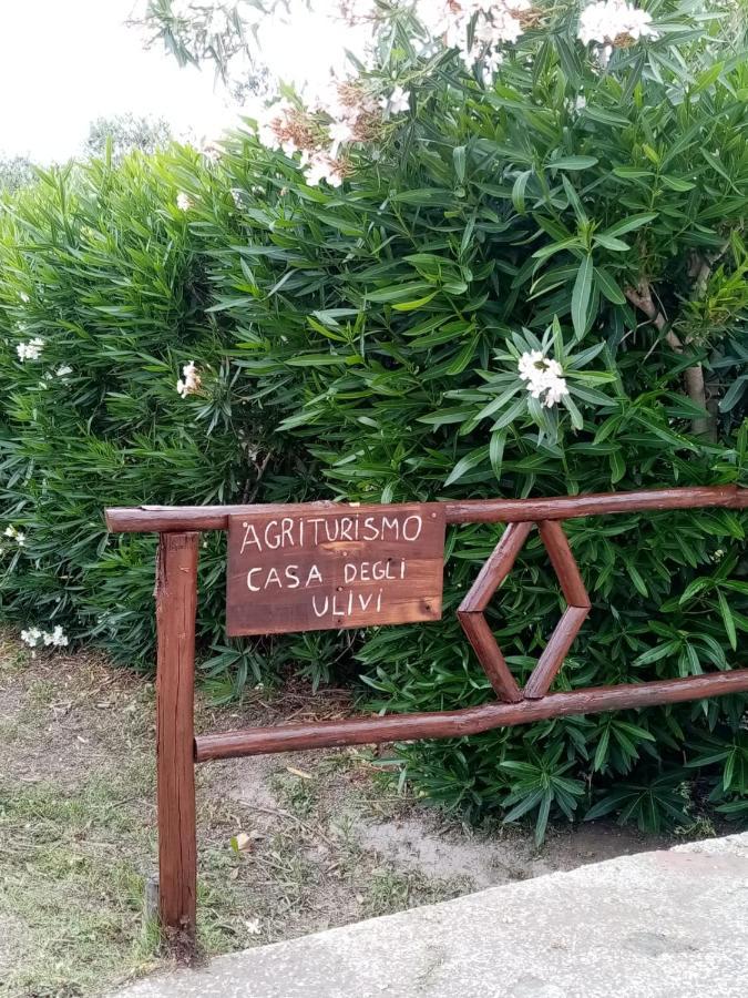 مبيت وإفطار تشيرفيتيري Casa Degli Ulivi المظهر الخارجي الصورة